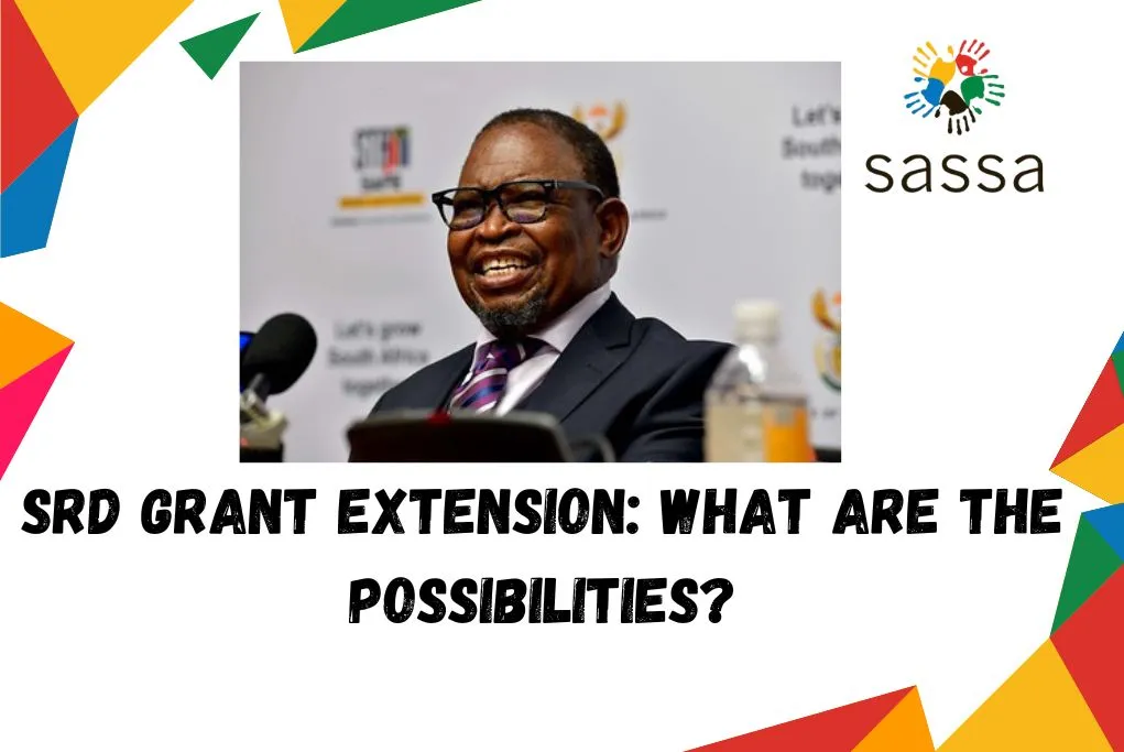 SRD Grant Extension: What Are the Possibilities?