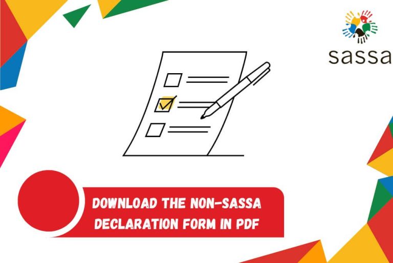 Download the Non-SASSA Declaration Form in PDF